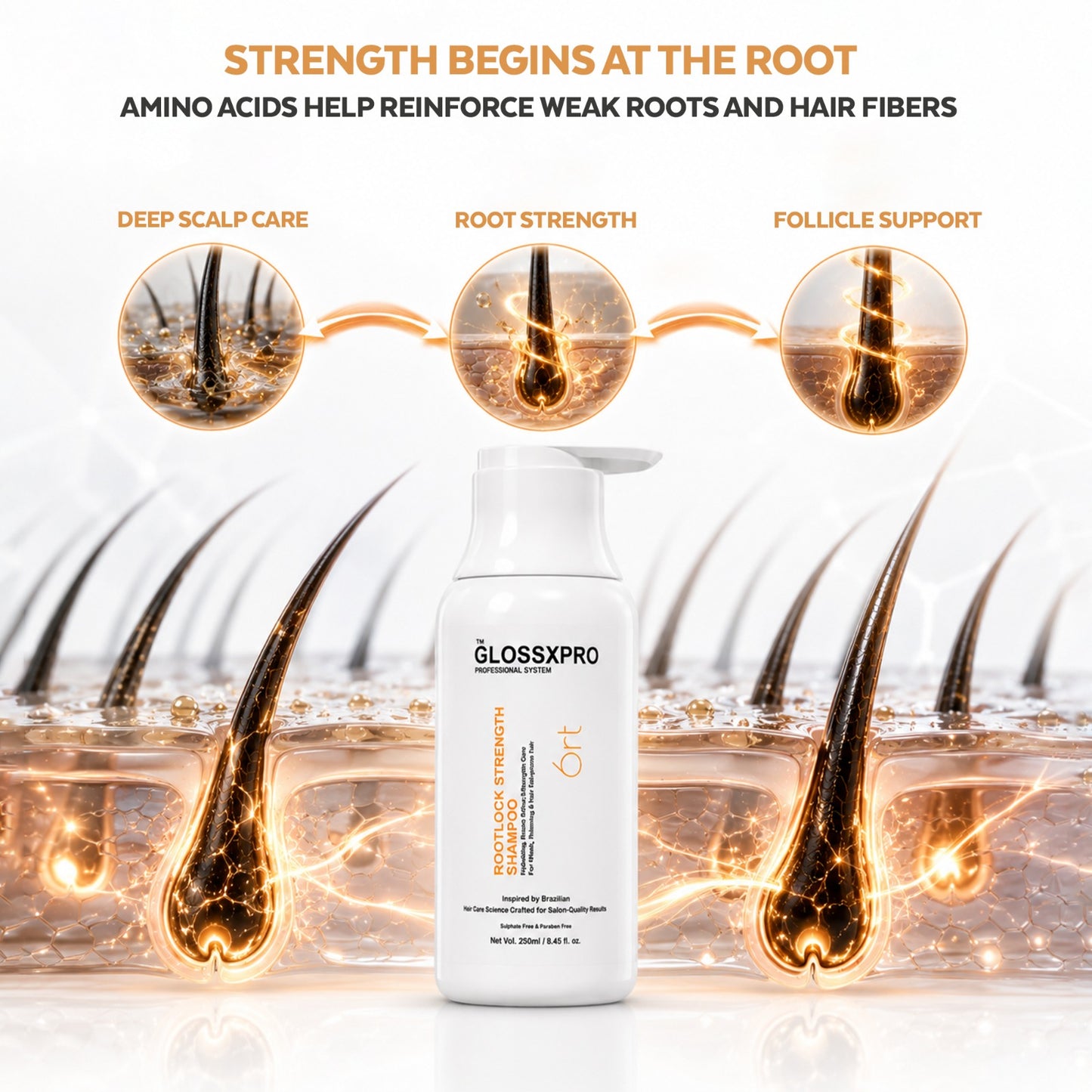 GLOSSXPRO Professional System Rootlock Strength Shampoo | Hair Fall Control Shampoo | Strengthens Hair from the Roots | Reduces Breakage | Nourishes Scalp | Sulphate Free | Paraben Free | 250 ml