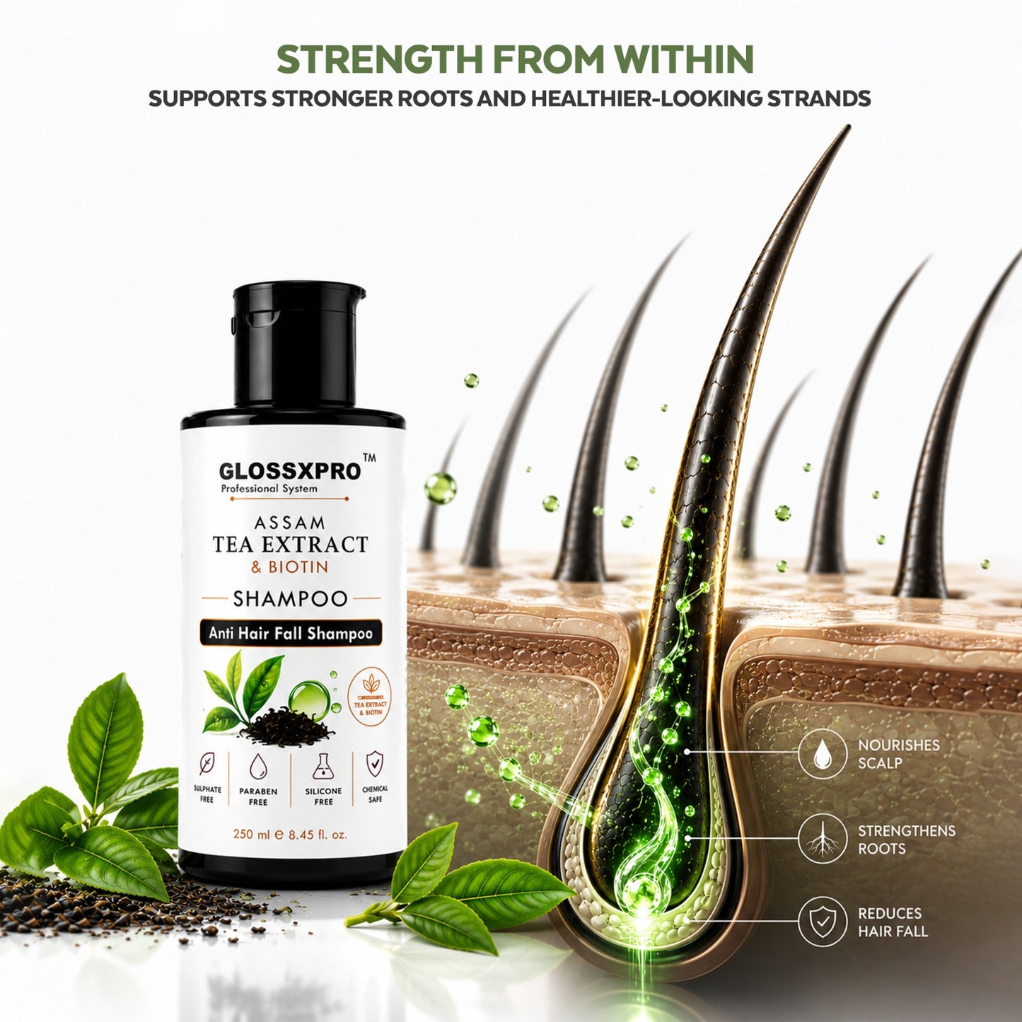 GLOSSXPRO Professional Assam Tea Extract & Biotin Shampoo | Anti Hair Fall Shampoo | Strengthens Hair, Nourishes Scalp & Promotes Healthy-Looking Hair | Silicone Free | Sulphate Free & Paraben Free | 250 ml