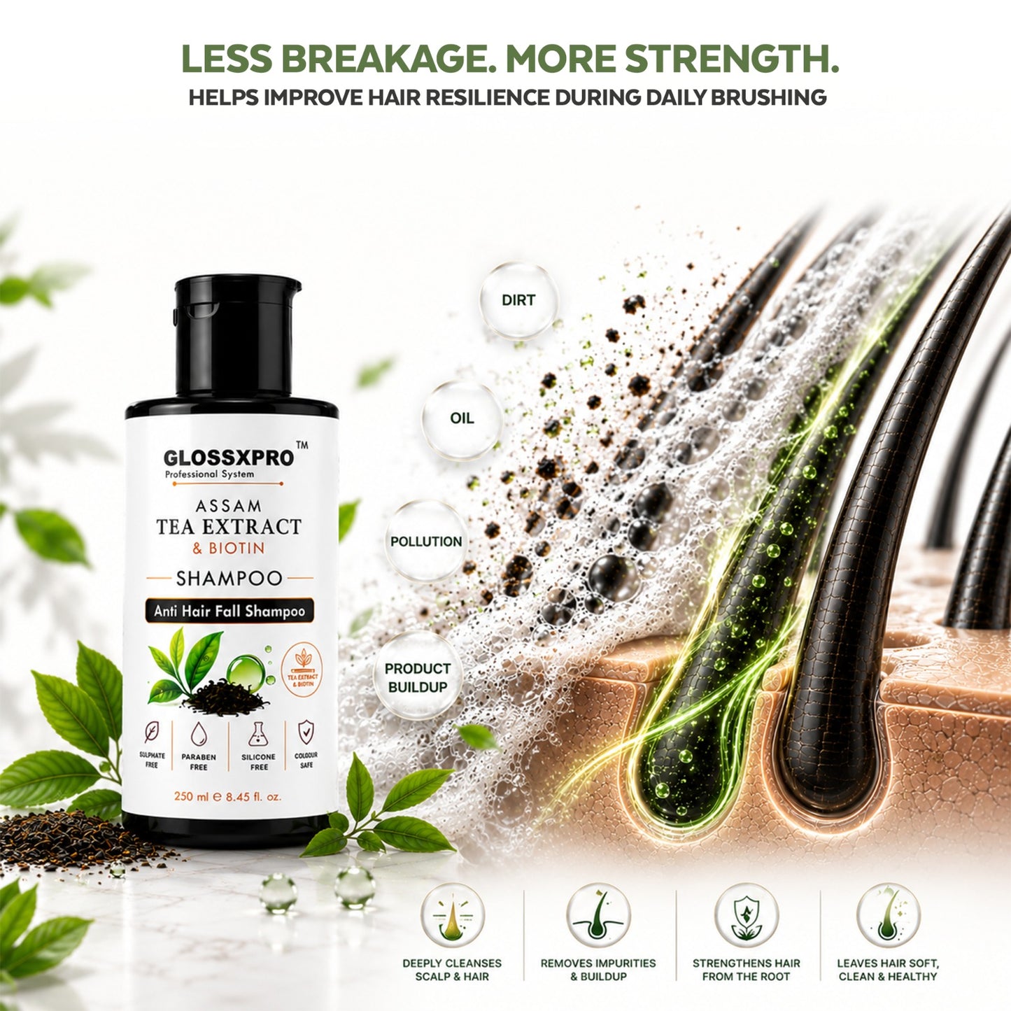 GLOSSXPRO Professional Assam Tea Extract & Biotin Shampoo | Anti Hair Fall Shampoo | Strengthens Hair, Nourishes Scalp & Promotes Healthy-Looking Hair | Silicone Free | Sulphate Free & Paraben Free | 250 ml