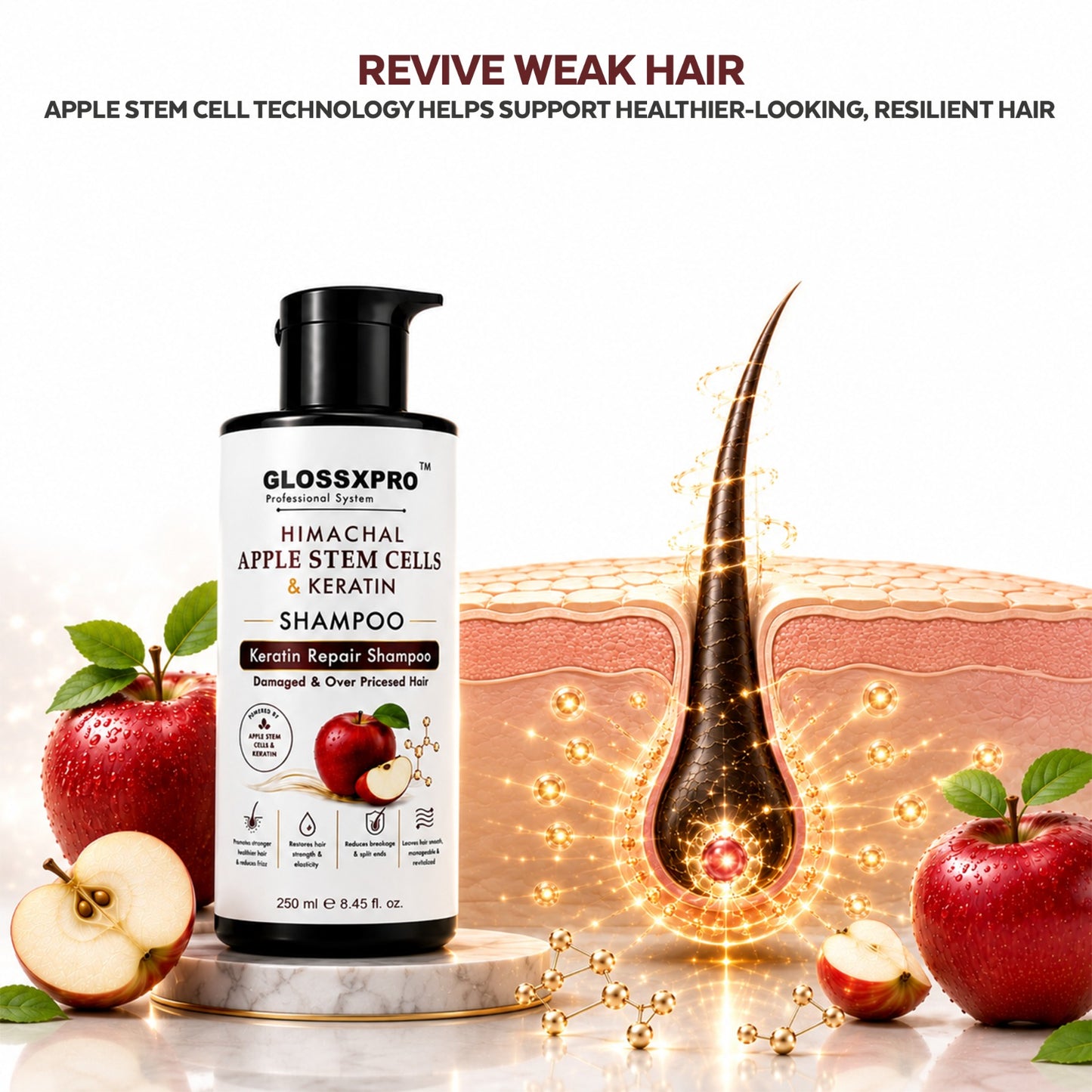 GLOSSXPRO Professional Himachal Apple Stem Cells & Keratin Shampoo | Keratin Repair Shampoo for Damaged & Over-Processed Hair | Deep Nourishment, Hair Strengthening & Breakage Control | Sulphate Free & Paraben Free | 250 ml
