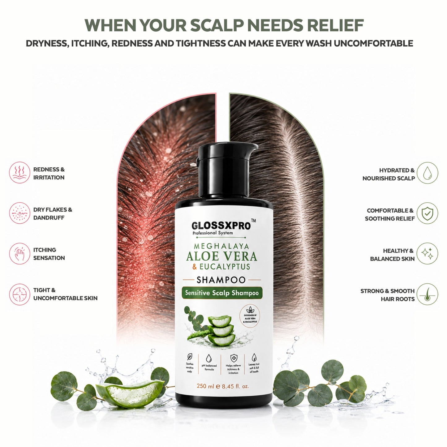 GLOSSXPRO Professional System Meghalaya Aloe Vera & Eucalyptus Shampoo | Sensitive Scalp Shampoo | Soothes & Hydrates Scalp | Gentle Daily Cleanser | SLS Free, Silicone Free, Cruelty Free | Dermatologically Tested | 250 ml