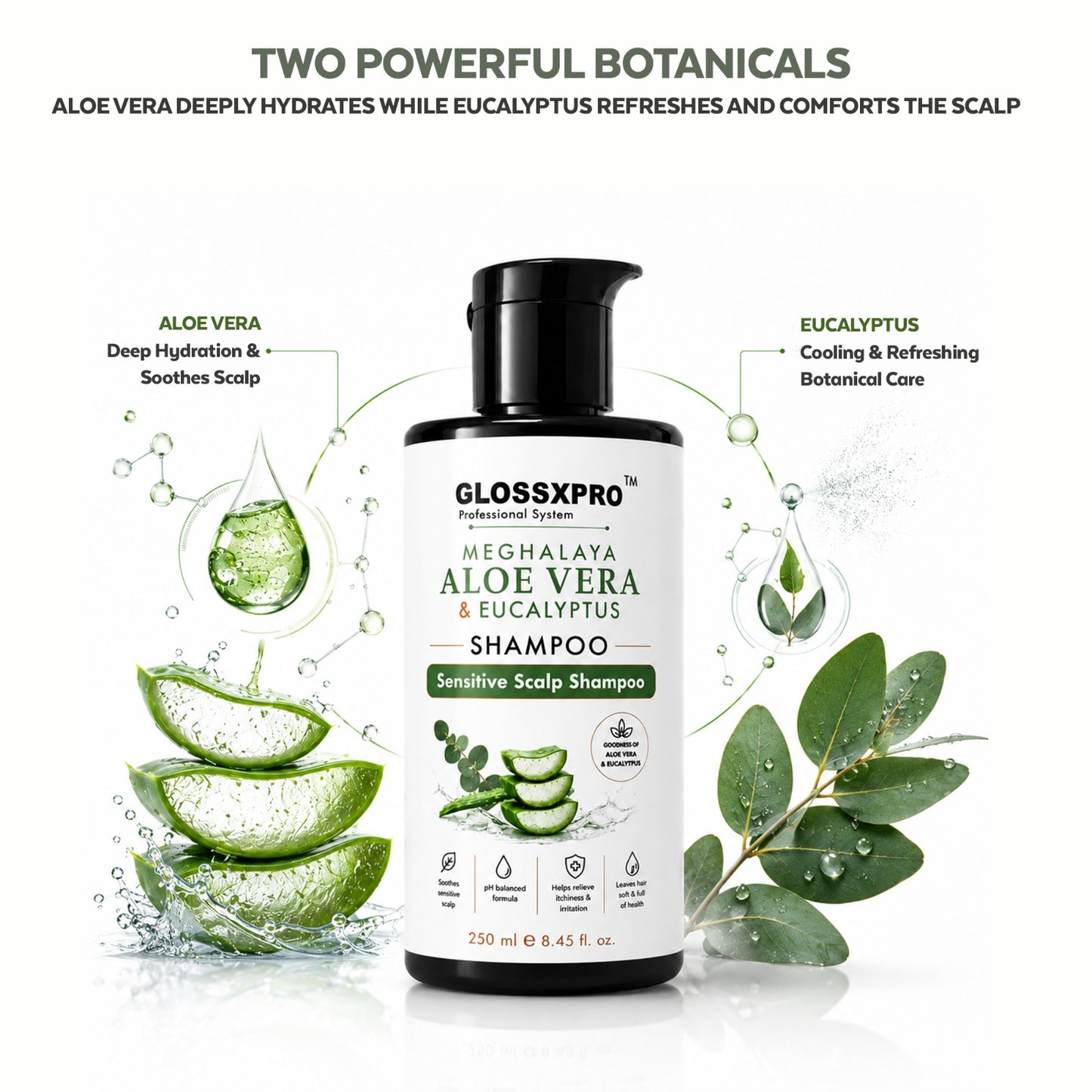 GLOSSXPRO Professional System Meghalaya Aloe Vera & Eucalyptus Shampoo | Sensitive Scalp Shampoo | Soothes & Hydrates Scalp | Gentle Daily Cleanser | SLS Free, Silicone Free, Cruelty Free | Dermatologically Tested | 250 ml