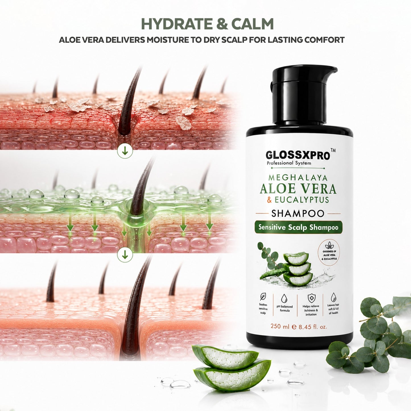 GLOSSXPRO Professional System Meghalaya Aloe Vera & Eucalyptus Shampoo | Sensitive Scalp Shampoo | Soothes & Hydrates Scalp | Gentle Daily Cleanser | SLS Free, Silicone Free, Cruelty Free | Dermatologically Tested | 250 ml