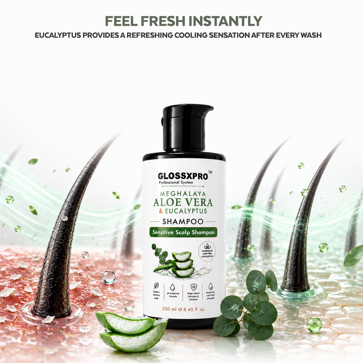GLOSSXPRO Professional System Meghalaya Aloe Vera & Eucalyptus Shampoo | Sensitive Scalp Shampoo | Soothes & Hydrates Scalp | Gentle Daily Cleanser | SLS Free, Silicone Free, Cruelty Free | Dermatologically Tested | 250 ml