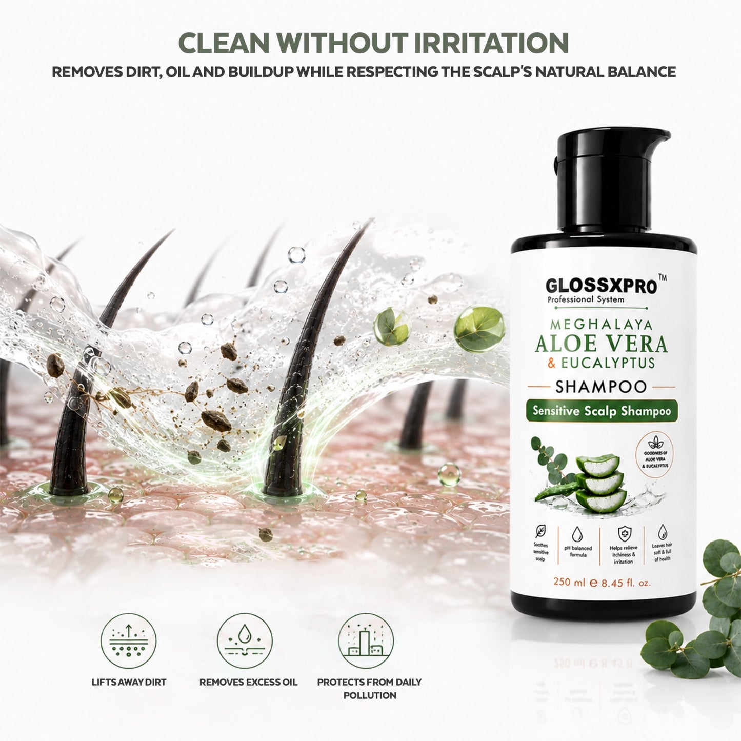 GLOSSXPRO Professional System Meghalaya Aloe Vera & Eucalyptus Shampoo | Sensitive Scalp Shampoo | Soothes & Hydrates Scalp | Gentle Daily Cleanser | SLS Free, Silicone Free, Cruelty Free | Dermatologically Tested | 250 ml