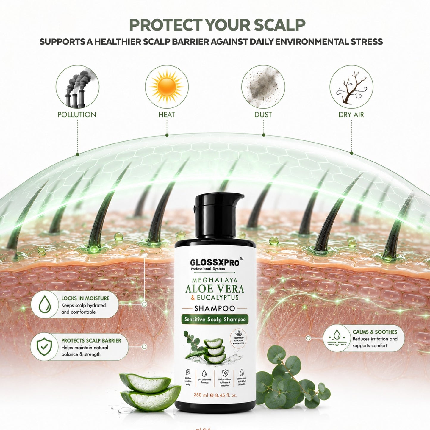 GLOSSXPRO Professional System Meghalaya Aloe Vera & Eucalyptus Shampoo | Sensitive Scalp Shampoo | Soothes & Hydrates Scalp | Gentle Daily Cleanser | SLS Free, Silicone Free, Cruelty Free | Dermatologically Tested | 250 ml