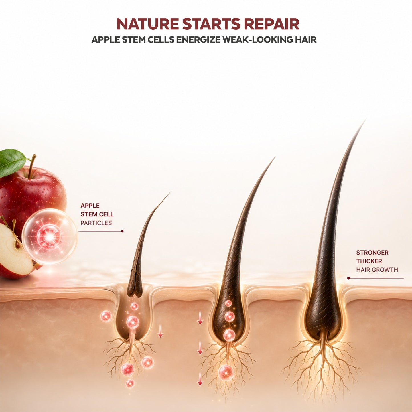 GLOSSXPRO Professional Himachal Apple Stem Cells & Keratin Hair Mask | Keratin Repair Hair Mask for Damaged & Over-Processed Hair | Deep Nourishment, Hair Strengthening & Frizz Control | Sulphate Free & Paraben Free | 200 g