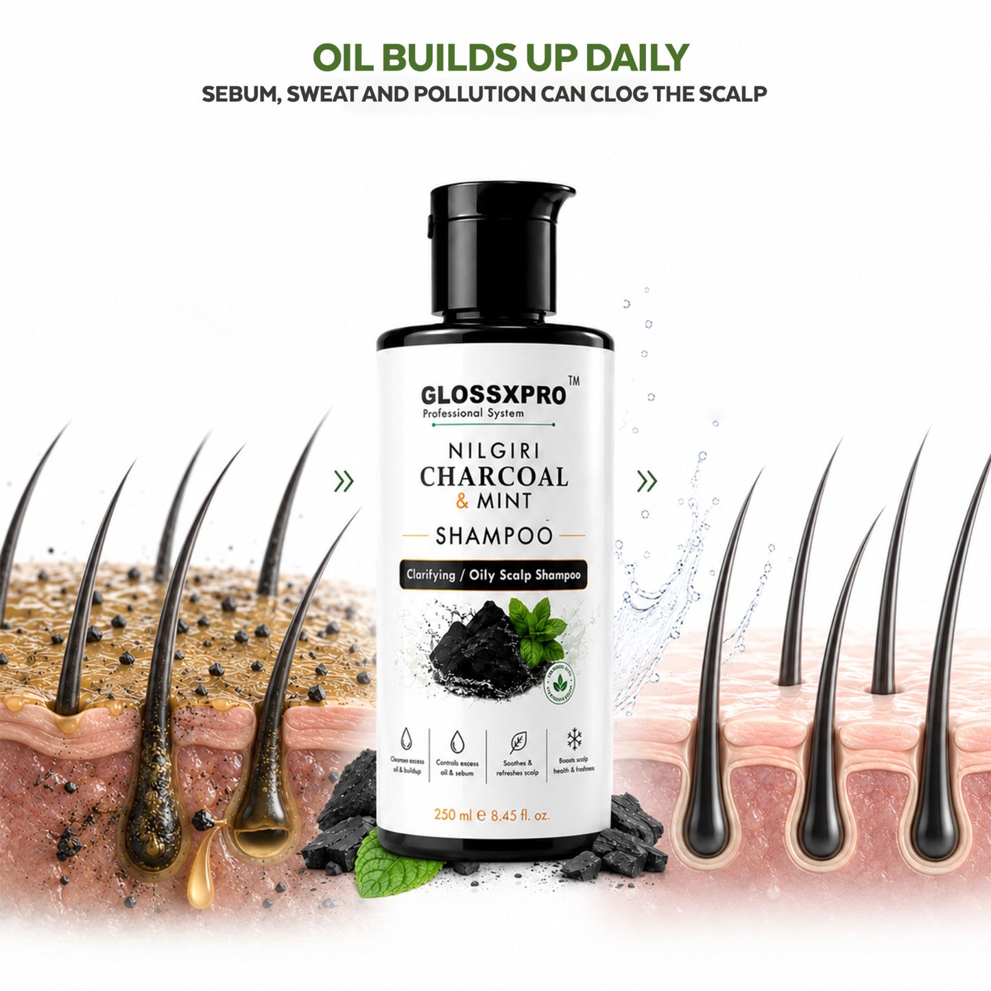 GLOSSXPRO Professional System Nilgiri Charcoal & Mint Clarifying Shampoo | Deep Cleansing for Oily Scalp | Controls Excess Oil & Sebum | Refreshes & Soothes Scalp | Sulphate & Paraben Free
